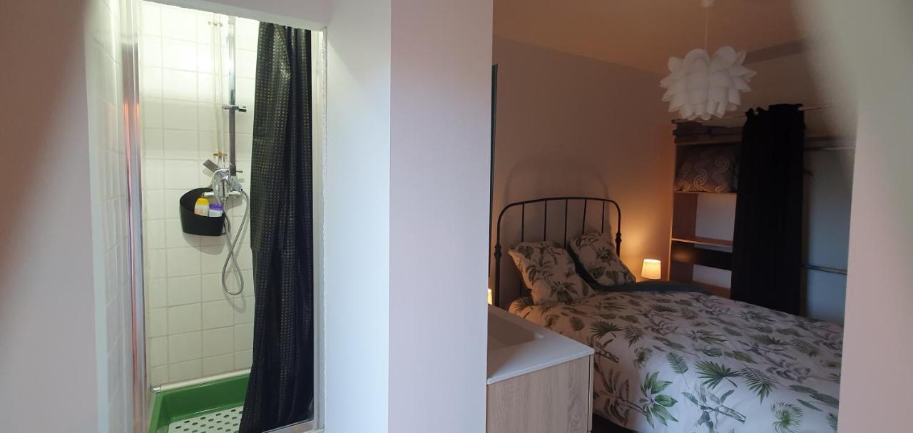Appartement T2 Avec Grande Terrasse Quartier Jardin Massey