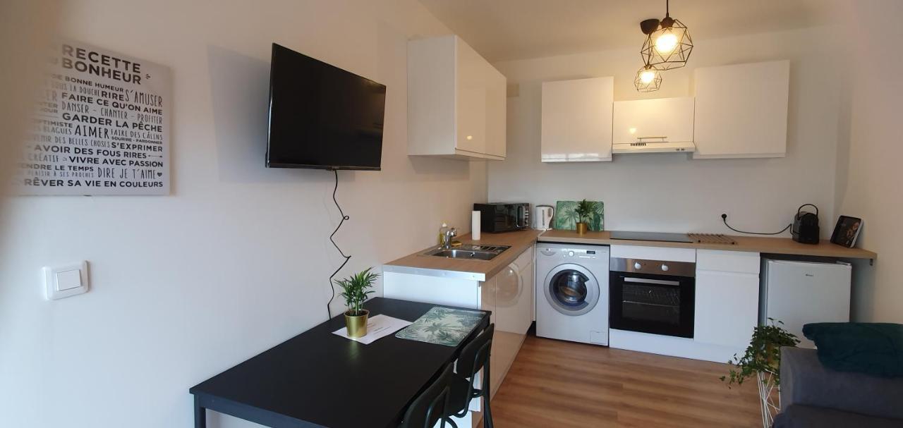 T2 Avec Grande Terrasse Quartier Jardin Massey Appartement